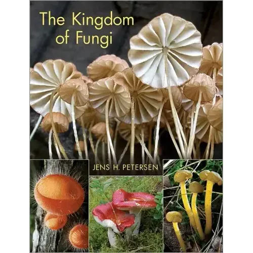 The Kingdom of Fungi