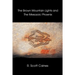 The Brown Mountain Lights and the Mesozoic Phoenix