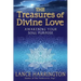 The Treasures of Divine Love