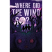 Where Did the Wind Go?