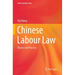 Chinese Labour Law: Theory and Practice
