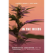 In the Weeds: Demonization, Legalization, and the Evolution of U.S. Marijuana Policy