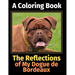 The Reflections of My Dogue de Bordeaux: A Coloring Book