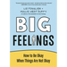 Big Feelings: How to Be Okay When Things Are Not Okay