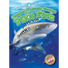 Oceanic Whitetip Sharks and Pilot Fish