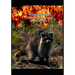 Hiram Raccoon's Phenomenal Movie Adventure