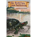 Sir Frederique von Turtlestein