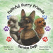 Faithful Furry Friends: Service Dogs