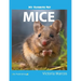 My Favorite Pet: Mice