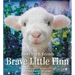 Brave Little Finn