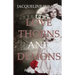 Love Thorns and Demons: Bittersweet Devotion