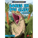 Bones in the Cliff: T. Rex Discovery