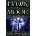 Hawk & Moor: Book 1 - The Dragon Rises