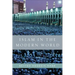 Islam in the Modern World