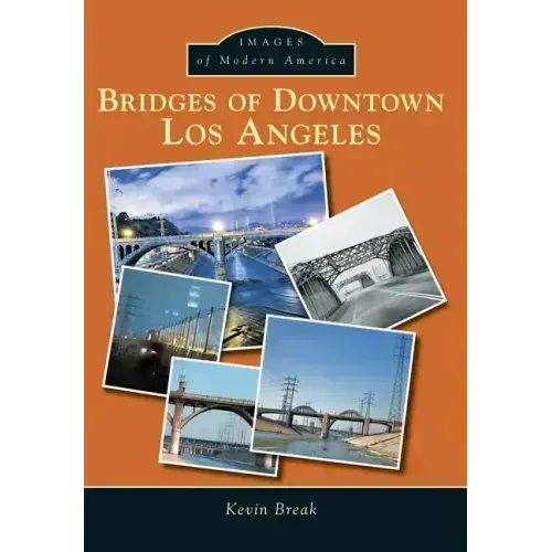 Bridges of Downtown Los Angeles