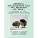 Artificial Incubation of Eggs and Brooding of Chicks: A Guide to the Successful Hatching and Rearing of Chicks