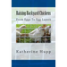 Raising Backyard Chickens From Eggs To Egg Layers
