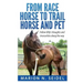 From Race Horse to Trail Horse and Pet