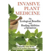 Invasive Plant Medicine: The Ecological Benefits and Healing Abilities of Invasives