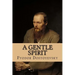 A Gentle Spirit: A Fantastic Story