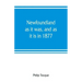 Newfoundland: as it was, and as it is in 1877