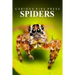 Spiders - Curious Kids Press: Kids book about animals and wildlife, Children's books 4-6