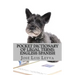 Pocket Dictionary of Legal Terms: English-Spanish: English-Spanish Legal Glossary