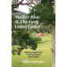 Mother Blue & The Deep Down Under: Stories Inspired by Caribou Ranch Open Space
