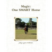 Magic One SMART Horse