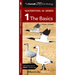 Waterfowl Id Series: The Basics