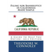 Filing for Bankruptcy in California Made Simple: A Guide to Help You Decide