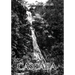 La Cascada