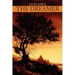 The Dreamer