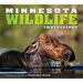 Minnesota Wildlife Impressions