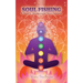 Soul Fishing: A Theory on Harmonizing the Human Experience