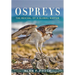 Ospreys: The Revival of a Global Raptor