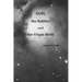 God, the Rabbis, and the Virgin Birth