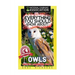 Everything You Should Know About: Owls Faster Learning Facts