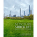 New York: Stilled Life