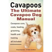 Cavapoos: The Ultimate Cavapoo Dog Manual: Cavapoos Care, Costs, Feeding, Grooming, Health and Training