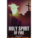 Holy Spirit of Fire