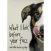 What I Lick Before Your Face: And Other Haikus by Dogs