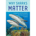 Why Sharks Matter: A Deep Dive with the World's Most Misunderstood Predator