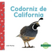 Codorniz de California (California Quails)