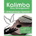Kalimba Easy Arrangements - 12 Gospel Songs / Spirituals: Ohne Noten - No Music Notes + MP3-Sound Downloads