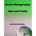 Macro Photography Tips and Tricks