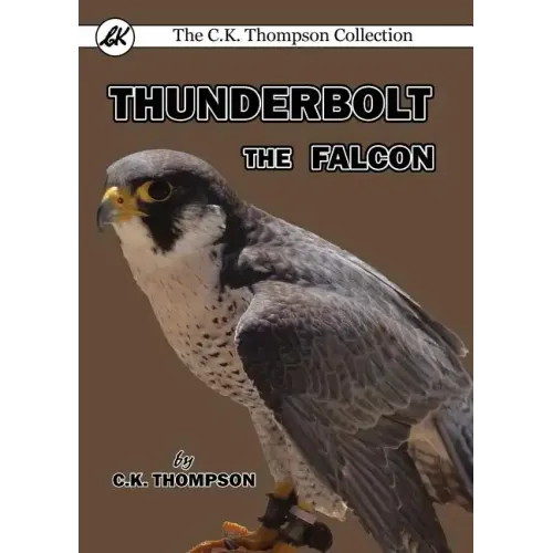 Thunderbolt the Falcon