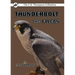 Thunderbolt the Falcon