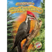 Woodpeckers