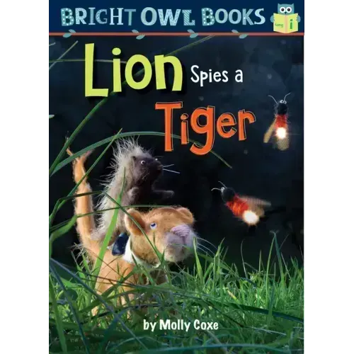 Lion Spies a Tiger